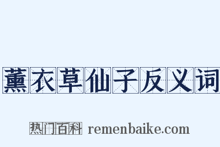 薰衣草仙子反义词是什么意思的图片